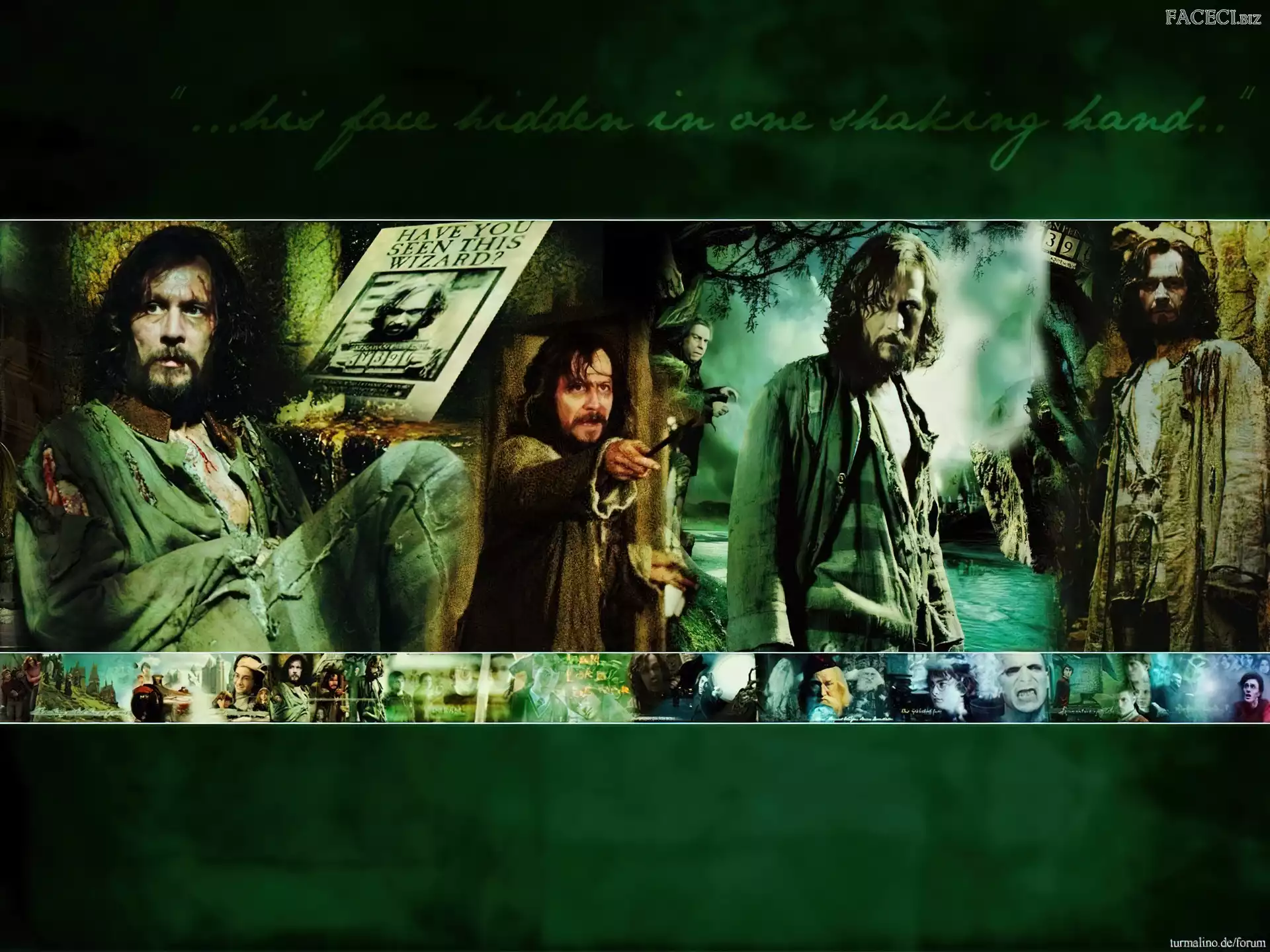 Gary Oldman, długie włosy