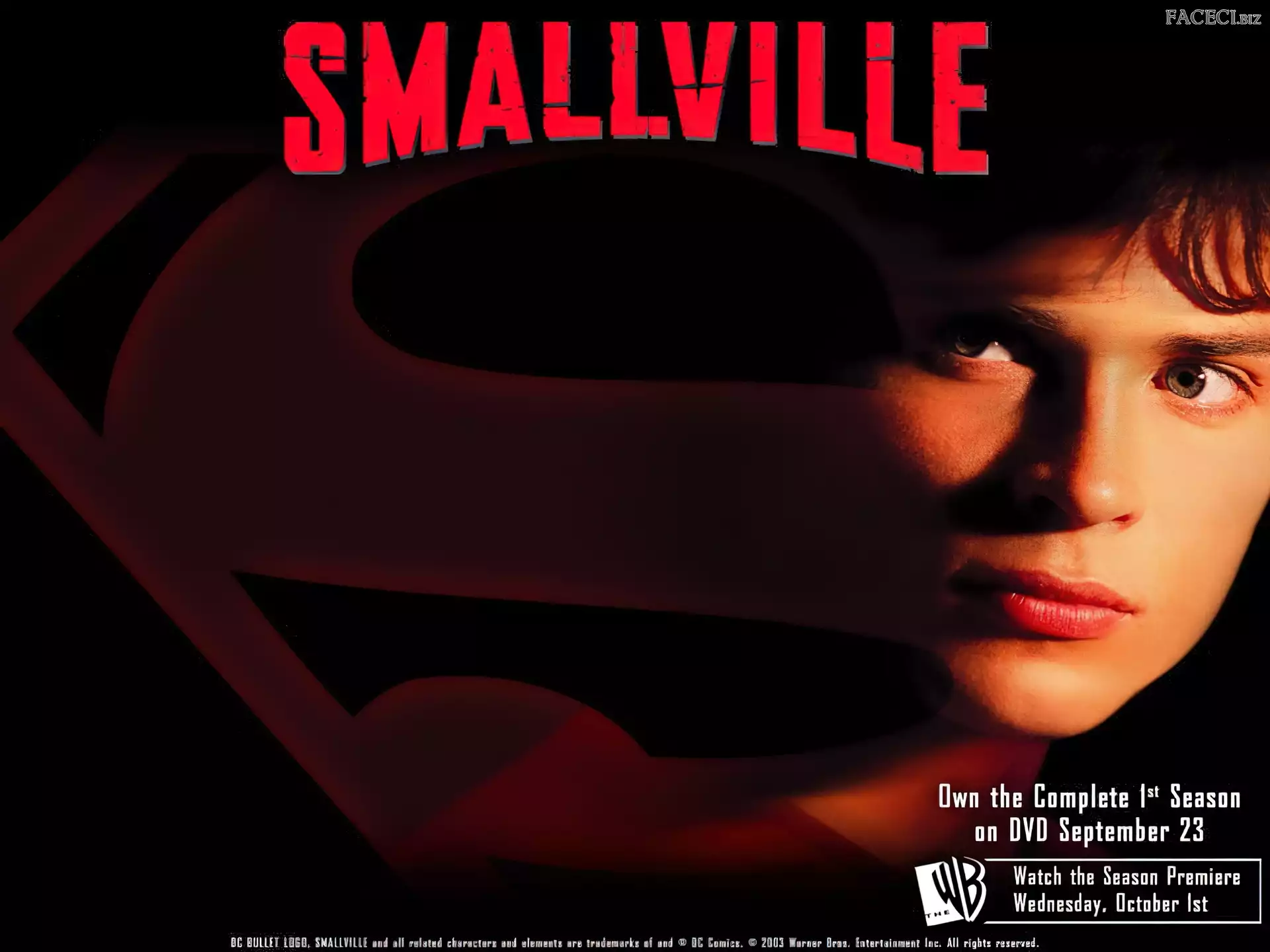 Tajemnice Smallville, Tom Welling, twarz, znak